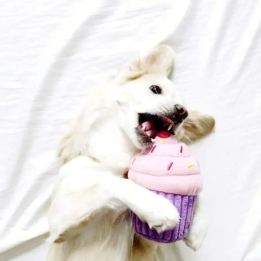 Cupcake Dog Toy | Buy Online at DOGUE Australia