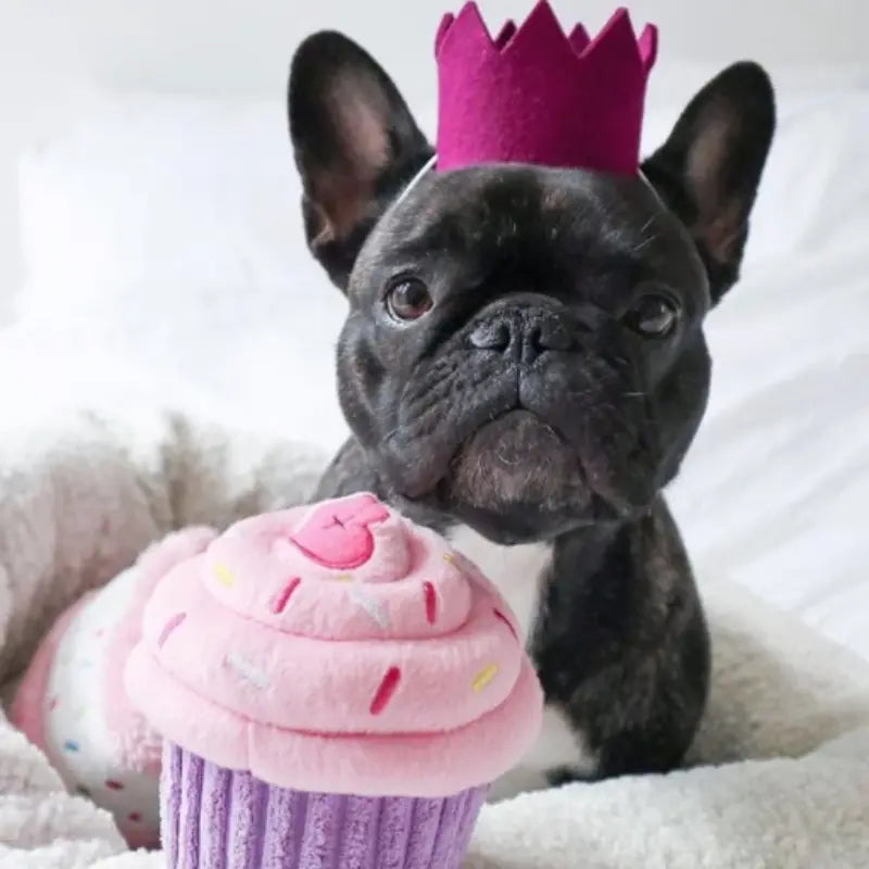 Cupcake dogs for sales sale