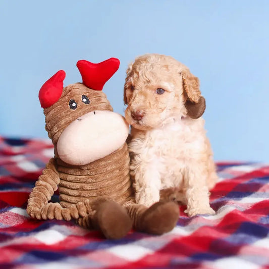 ZippyPaws Holiday Crinkle Reindeer Dog Toy - DOGUE