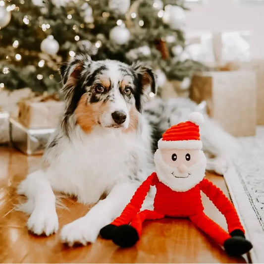 ZippyPaws Holiday Crinkle Santa Dog Toy - DOGUE