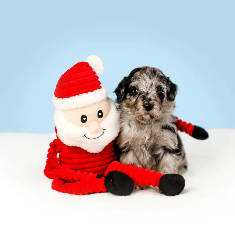 ZippyPaws Holiday Crinkle Santa Dog Toy - DOGUE