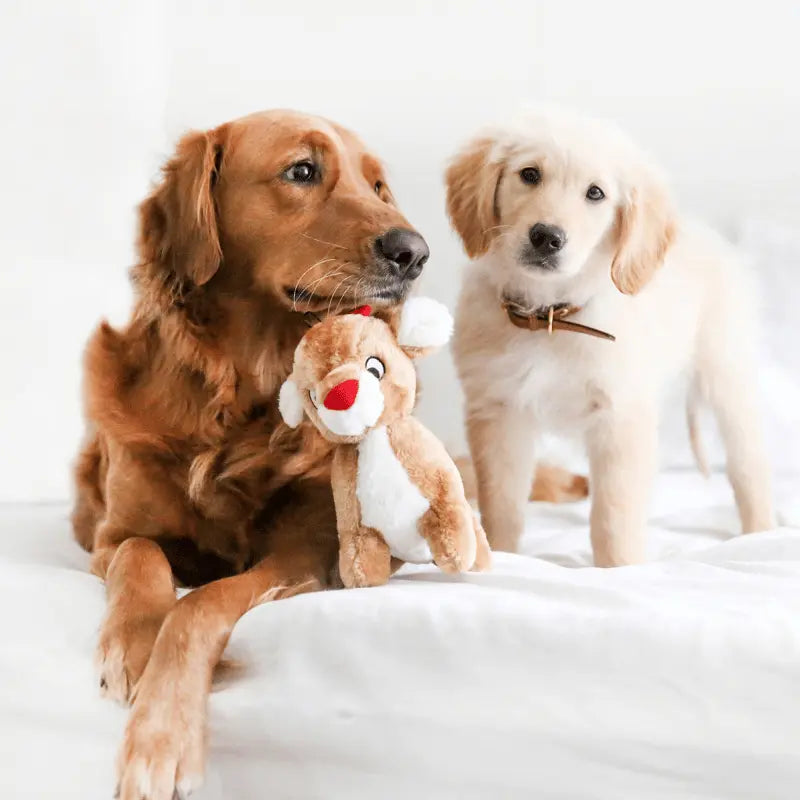 ZippyPaws Holiday Deluxe Reindeer Dog Toy | Buy Online at DOGUE Australia