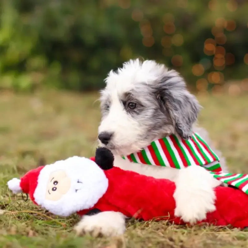 ZippyPaws Holiday Jigglerz Reindeer Dog Toy | Buy Online at DOGUE Australia