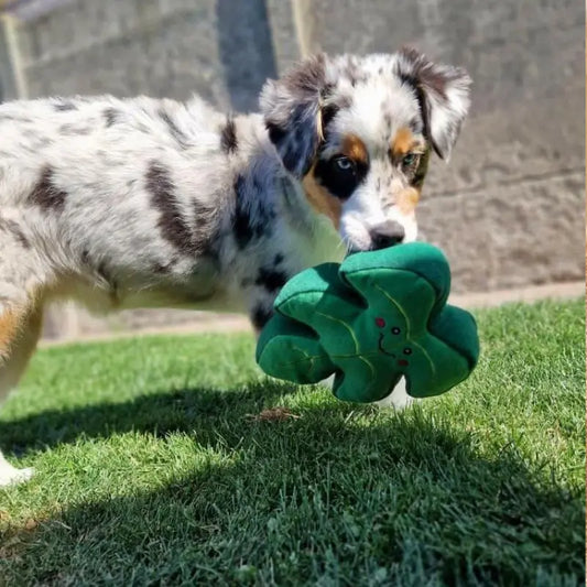 ZippyPaws Squeakie Pattiez Monstera Dog Toy - DOGUE
