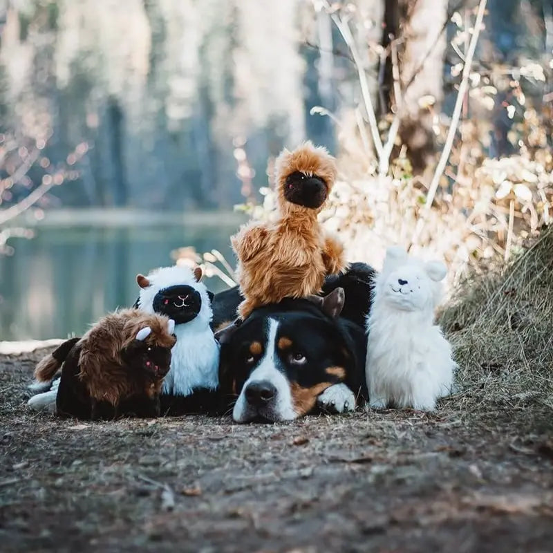 ZippyPaws Wooliez Plush Squeaker Dog Toys | Buy Online at DOGUE Australia