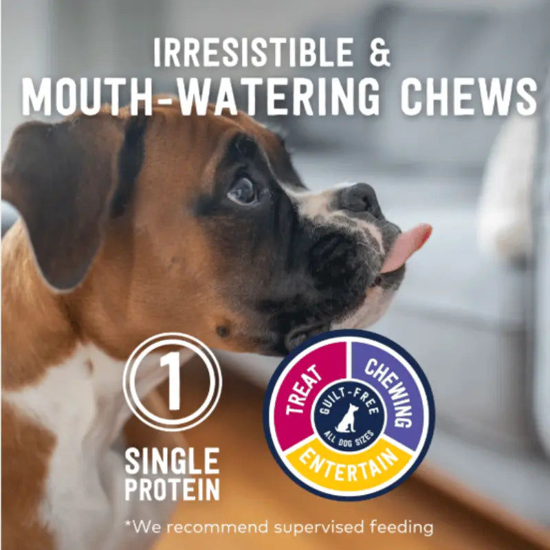 Ziwi Lamb Trachea Dog Treat 60g | Buy Online at DOGUE Australia