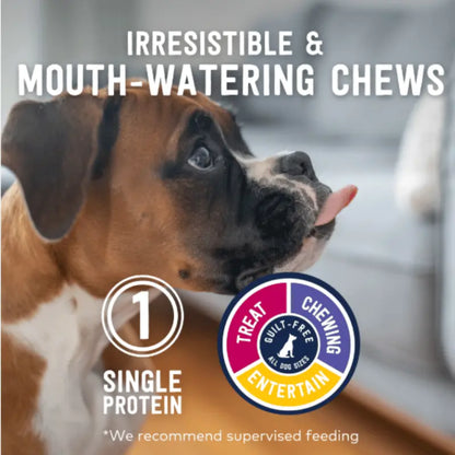 Ziwi Lamb Trachea Dog Treat 60g | Buy Online at DOGUE Australia