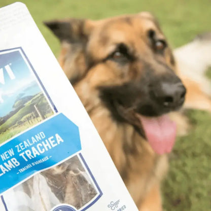 Ziwi Lamb Trachea Dog Treat 60g | Buy Online at DOGUE Australia