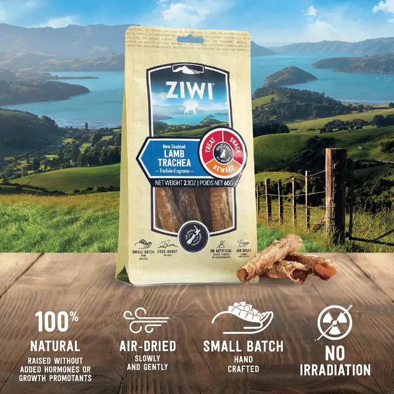 Ziwi Lamb Trachea Dog Treat 60g | Buy Online at DOGUE Australia