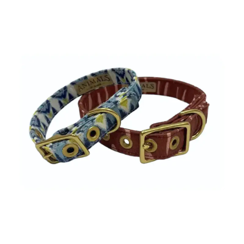 Limited Edition Animals In Charge Café Dog Collars | Buy Online at DOGUE Australia