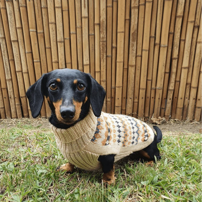 Alqo Wasi Golden Dreams Dog Jumper