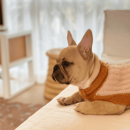 Alqo Wasi Soft Dreams Dog Jumper - DOGUE