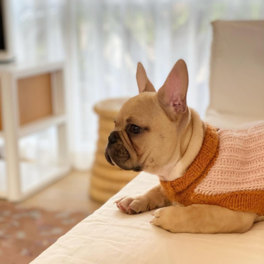 Alqo Wasi Soft Dreams Dog Jumper