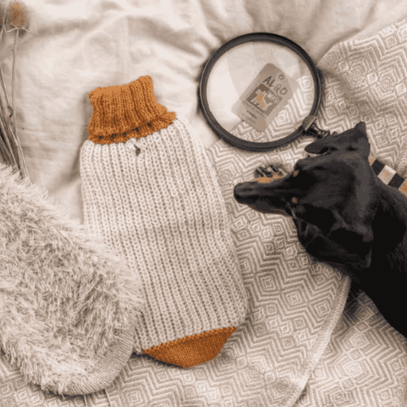 Alqo Wasi Soft Dreams Dog Jumper - DOGUE