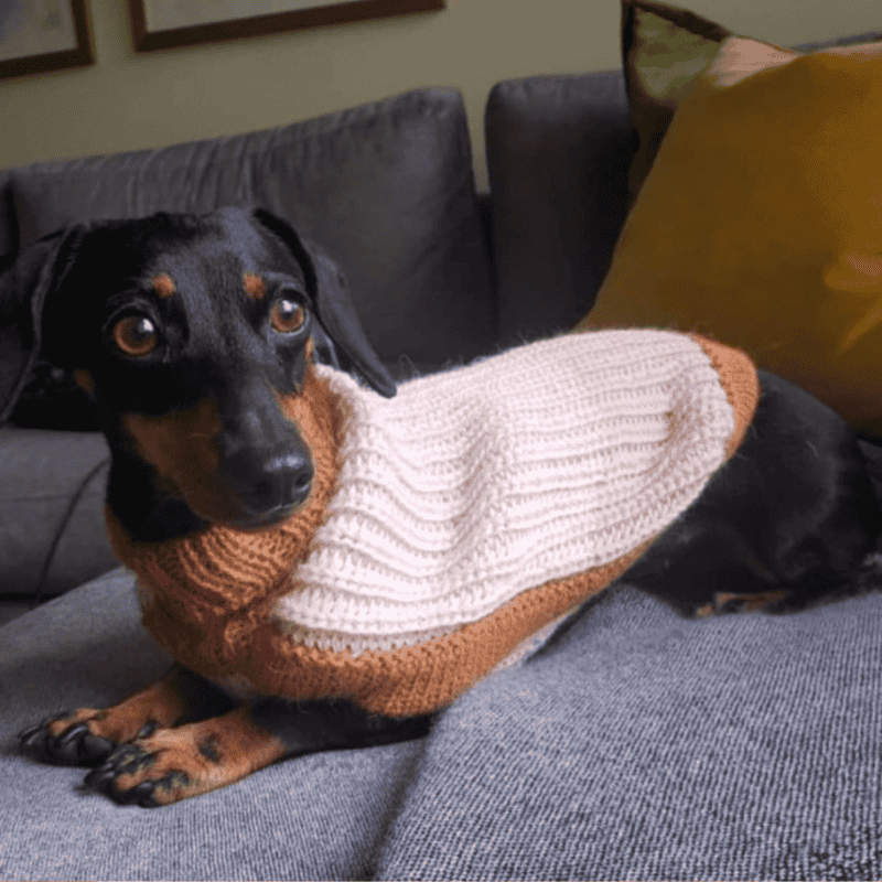 Alqo Wasi Soft Dreams Dog Jumper - DOGUE