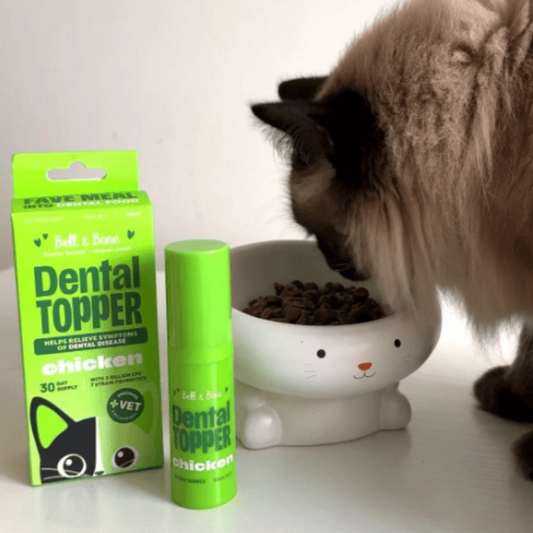 Bell & Bone Cat Dental Topper Chicken 30mL