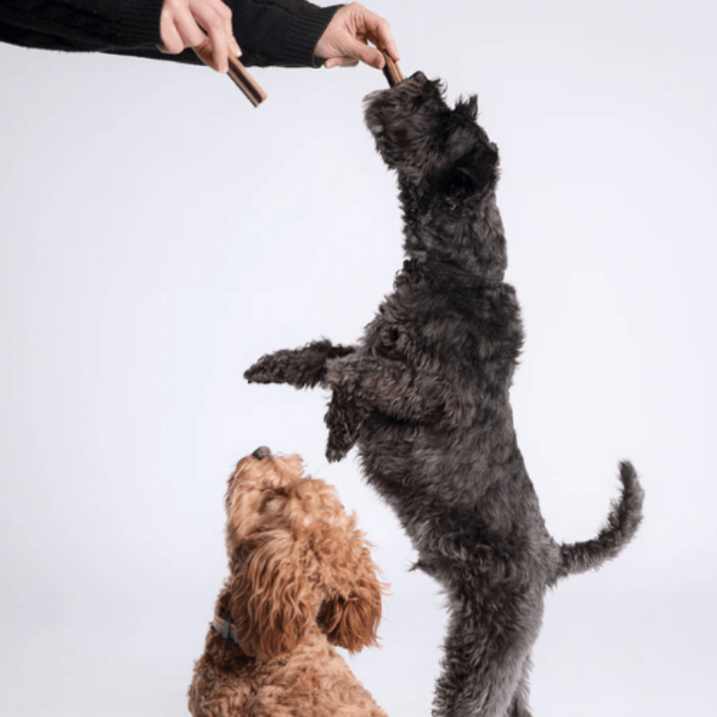 Bell & Bone Dog Dental Sticks Lamb, Mint & Manuka Honey