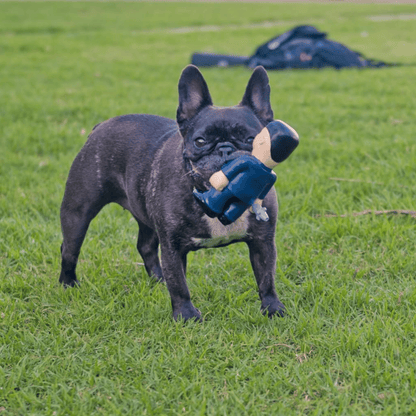 Caricha Chewers Kim Jong-un Dog Toy
