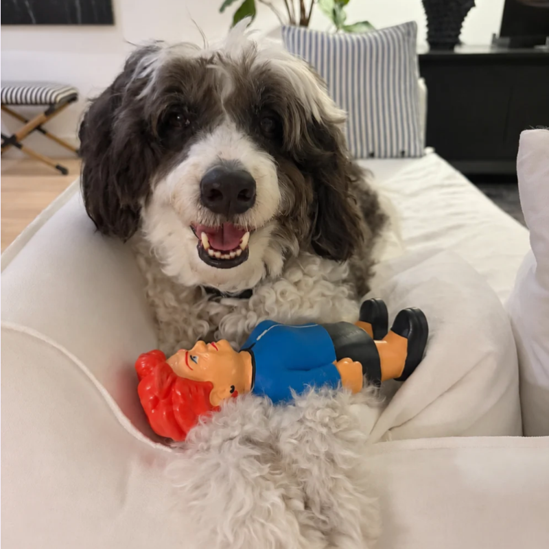 Caricachewers Pauline Hanson Dog Toy