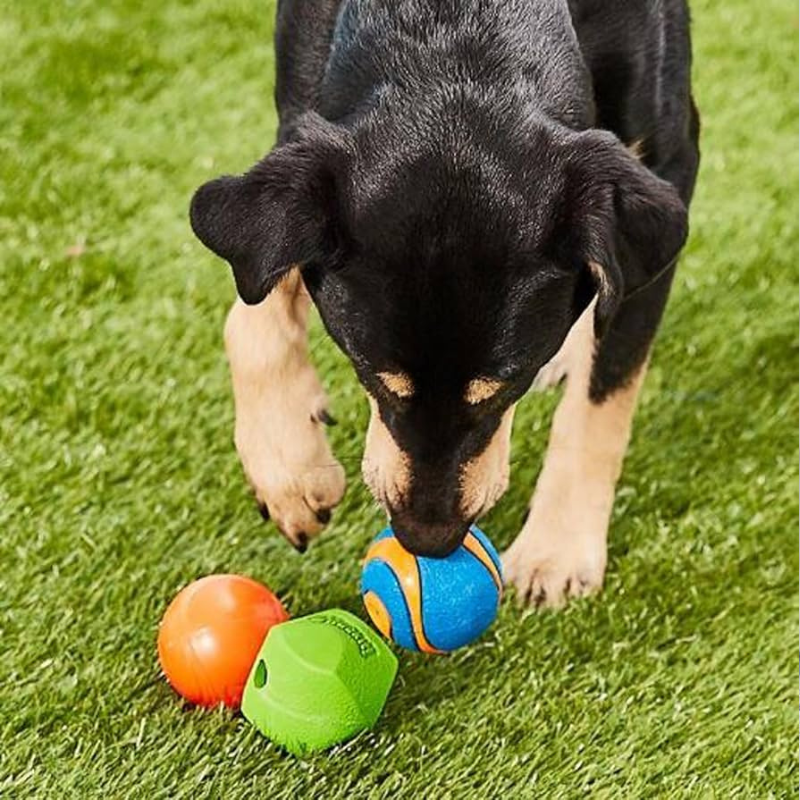 Chuckit! Fetch Medley Dog Toy Gen2 Buy Online at DOGUE