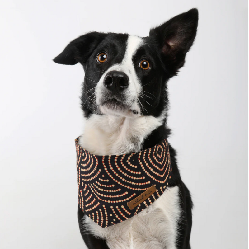 Outback Tails Dog Bandana Fire Country Dreaming Buy Online at DOGUE