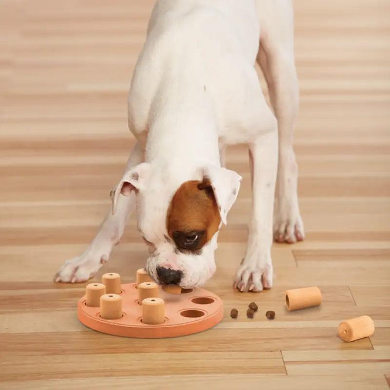 Nina Ottosson Smart Composite Dog Puzzle - DOGUE