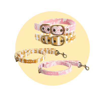 DOGUE Print Walkwear Set