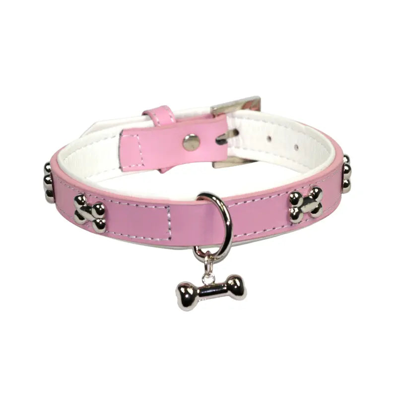 Copy of DOGUE Leather Bones Dog Collar and Lead | Buy Online at DOGUE Australia
