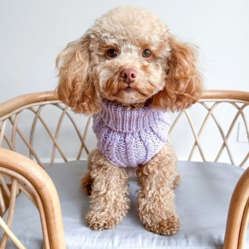 DOGUE Cable Knit Dog Jumper - Main Image