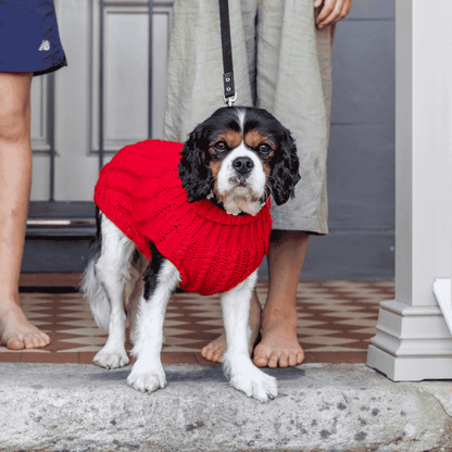 DOGUE Cable Knit Dog Jumper