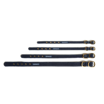 DOGUE Denim Walkwear Set