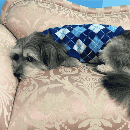 Diamond Dog Jumper