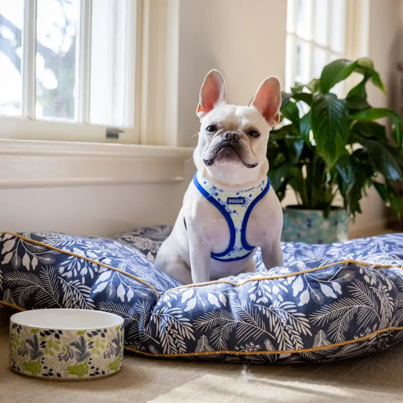 DOGUE Ceramic Wildflower Collection Dog Bowl