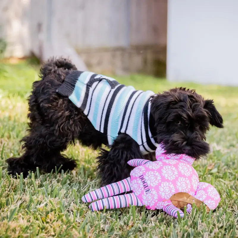 DOGUE Candy Stripe Knit Dog Jumper | Buy Online at DOGUE Australia