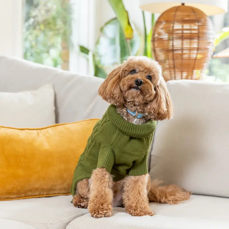 Classic Cardi Knit Dog Jumper Buy Online at DOGUE