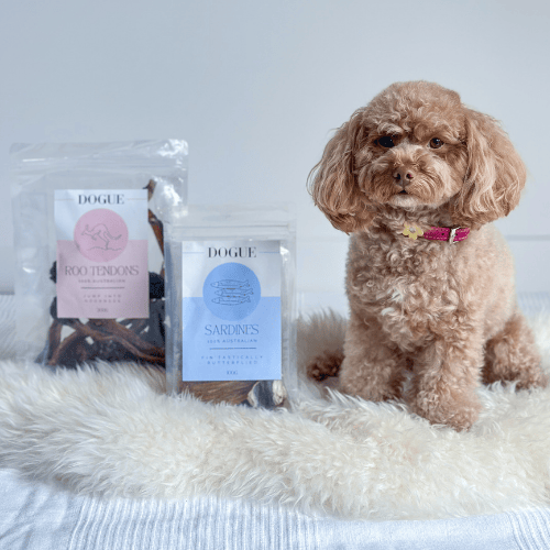 DOGUE Roo Tendons Dog Treat 200g - DOGUE