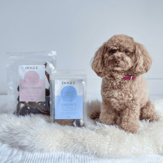 DOGUE Butterflied Sardines Dog Treat 100g - DOGUE