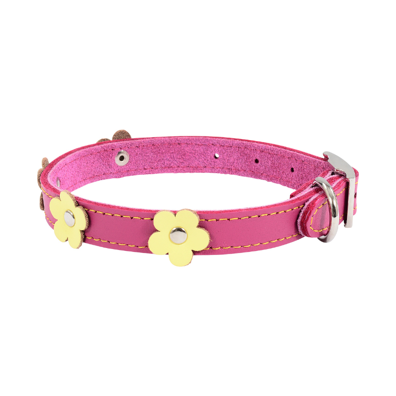 DOGUE Flower Pop Dog Collar