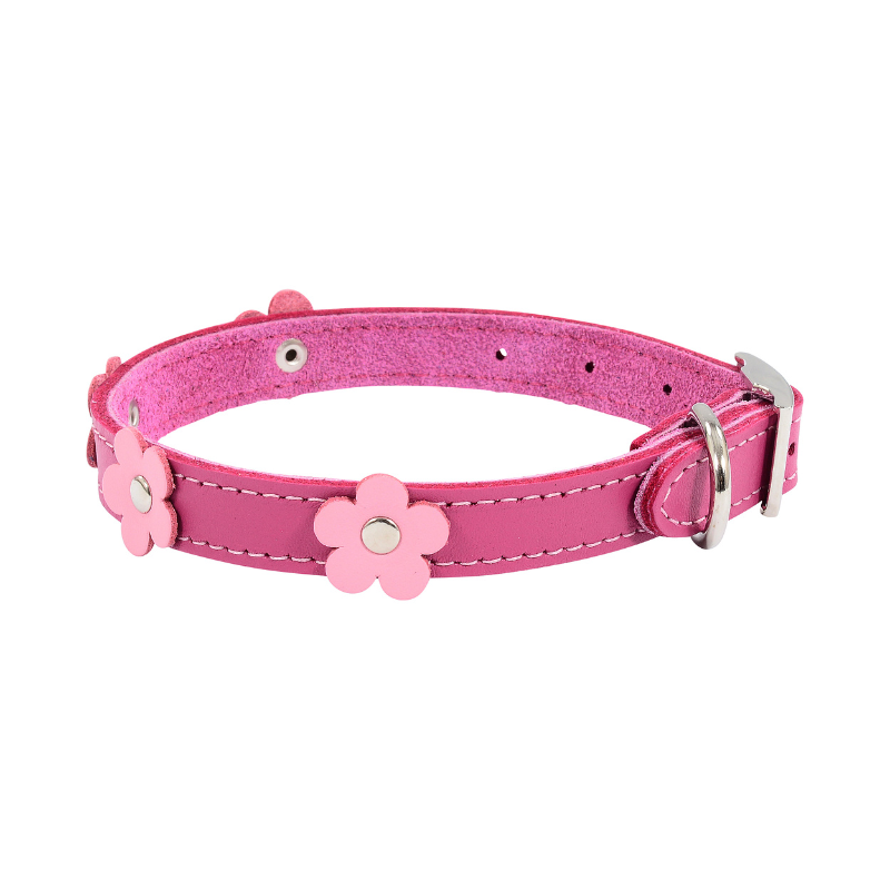 DOGUE Flower Pop Dog Collar