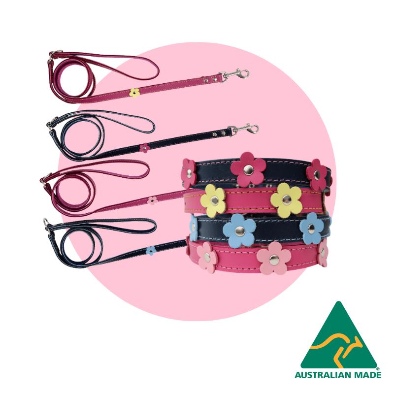 dogue-flower-pop-walkwear-set