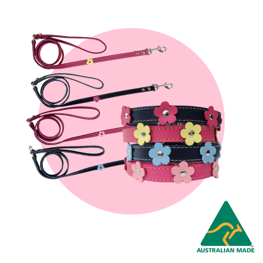 DOGUE Flower Pop Walkwear Set