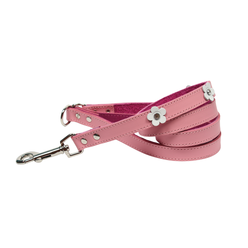 DOGUE Foxy Leather Dog Lead - DOGUE