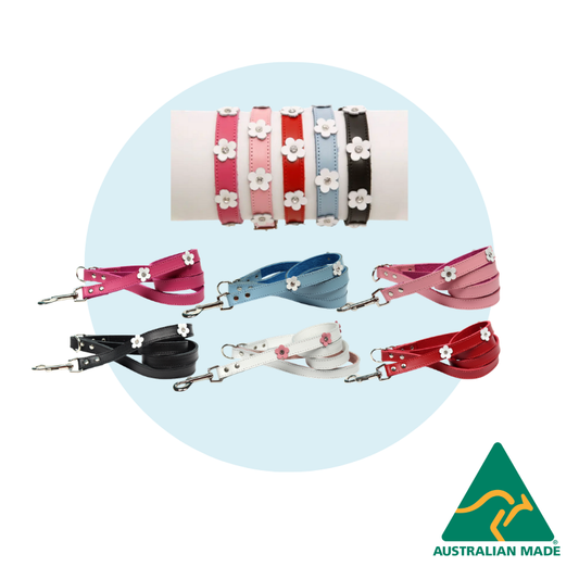 DOGUE Foxy Walkwear Set