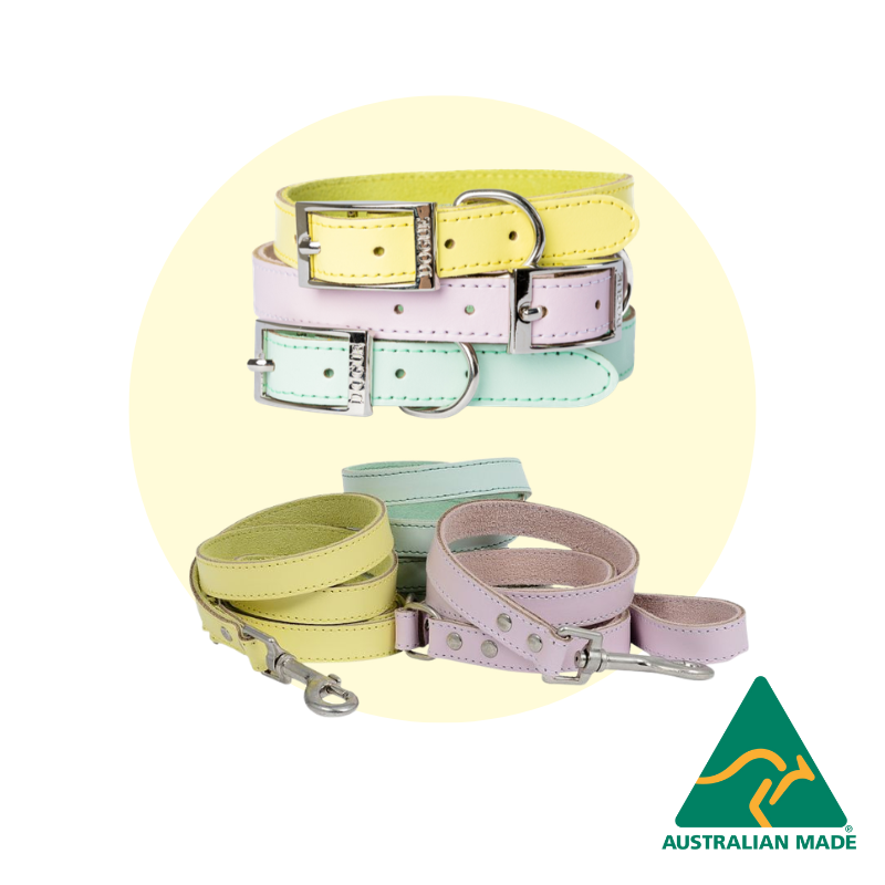 dogue-gelato-walkwear-set