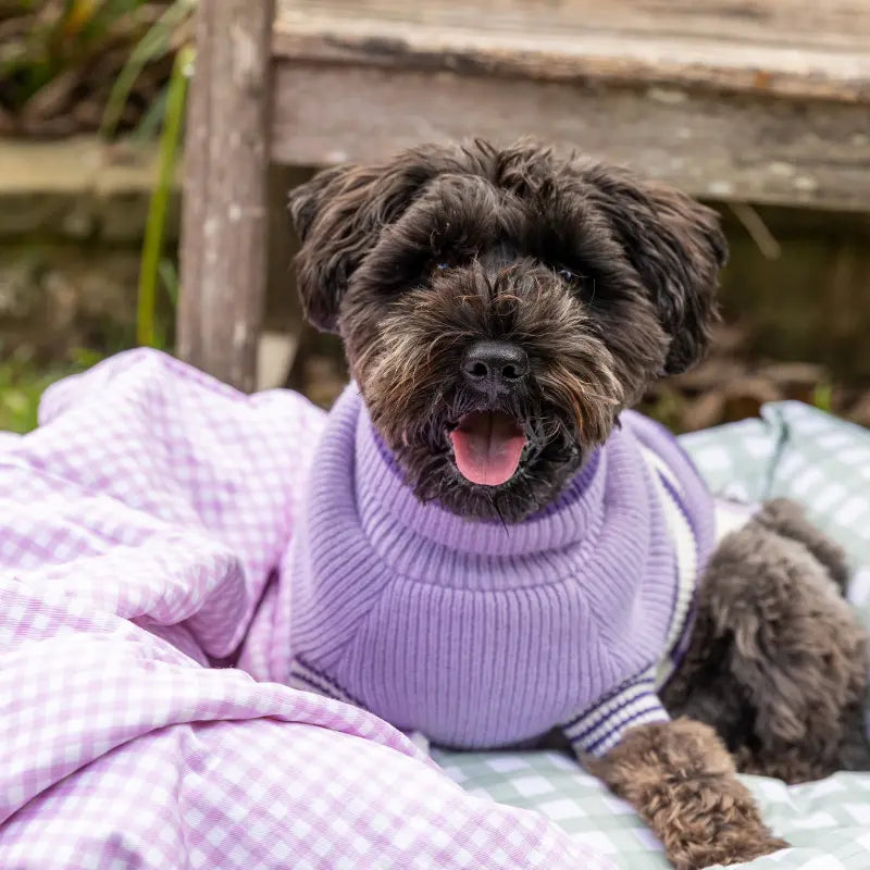 DOGUE Gingham Dog Blankets | Buy Online at DOGUE Australia