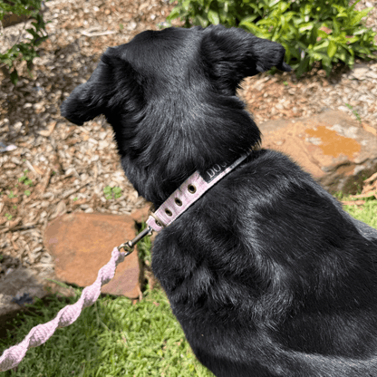 DOGUE Macrame Dog Lead