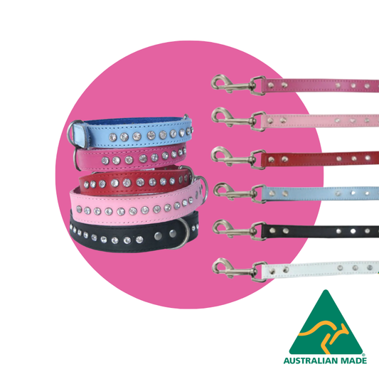 DOGUE Glamour Walkwear Set