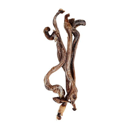 DOGUE Goat Pizzles Dog Treat 100g