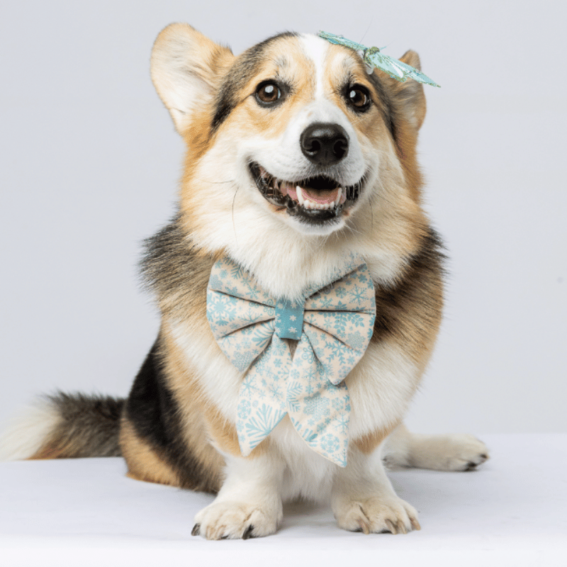 DOGUE Holiday Sailor Dog Bowtie