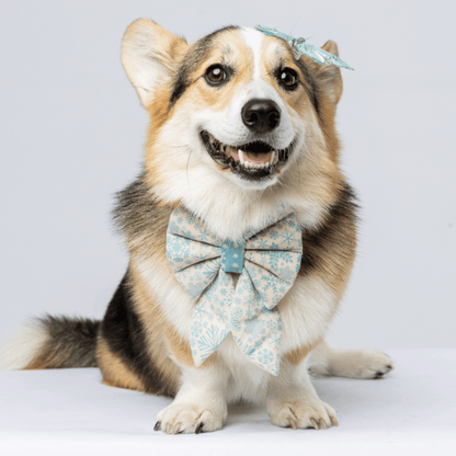 DOGUE Holiday Sailor Dog Bowtie